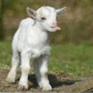 Meet your Posher, Katelynn